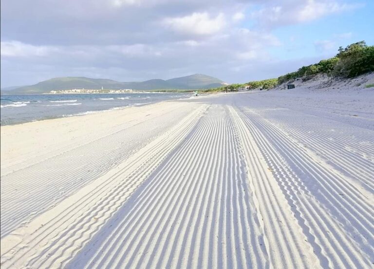 Nuovo appalto pulizia spiagge, Monti e Cocco (FdI): soddisfatti del lavoro dell’Assessore Montis