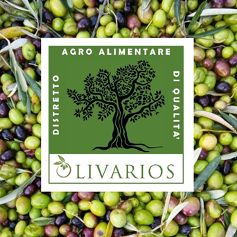Tore Piana eletto Presidente del Distretto Agroalimentare di qualità Regionale Olivicolo “Olivarios”