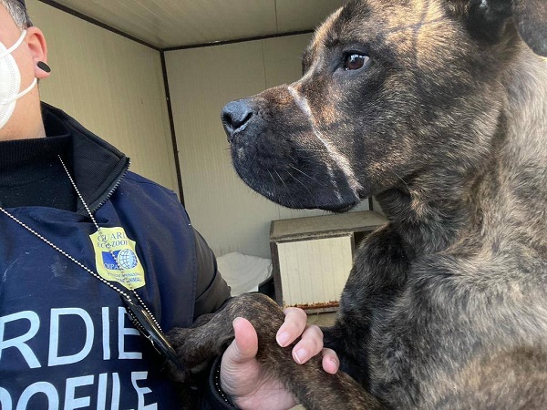 Oipa Ancona: le guardie salvano cane adottato