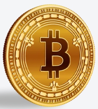 L'adozione del Bitcoin