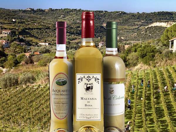 Malvasie di Sardegna, confronto tra produttori e esperti del vino a Bosa