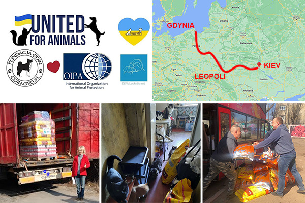 Ucraina – Aiuti dell’Oipa agli animali arrivati a Leopoli e distribuiti all’interno con un’estenuante staffetta