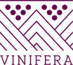 Conoscere il vino e il territorio: tornano gli appuntamenti del “Forum di Vinifera 2022”