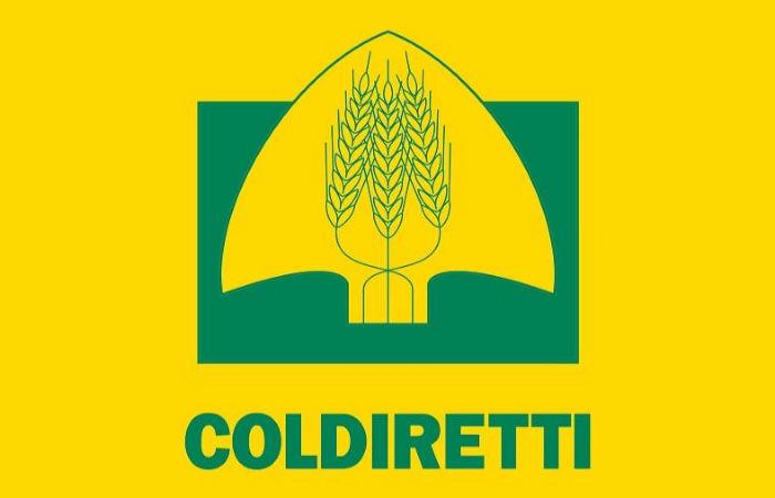 Fiera Ozieri – Coldiretti Nord Sardegna: il 40% degli allevatori ha meno di 40 anni