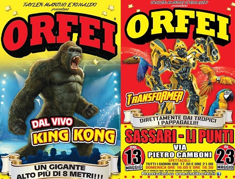 Circo Rinaldo Orfei a Sassari: dal 13 al 23 maggio