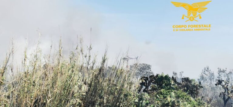 Incendi: riepilogo regionale giornaliero
