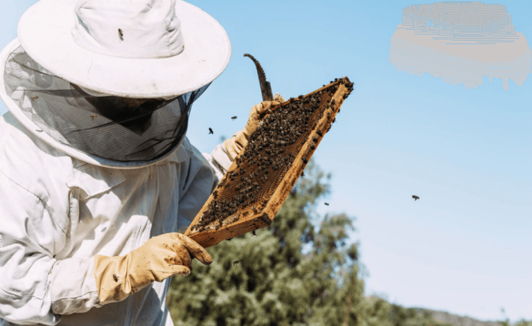 Giornata api – Coldiretti Sardegna