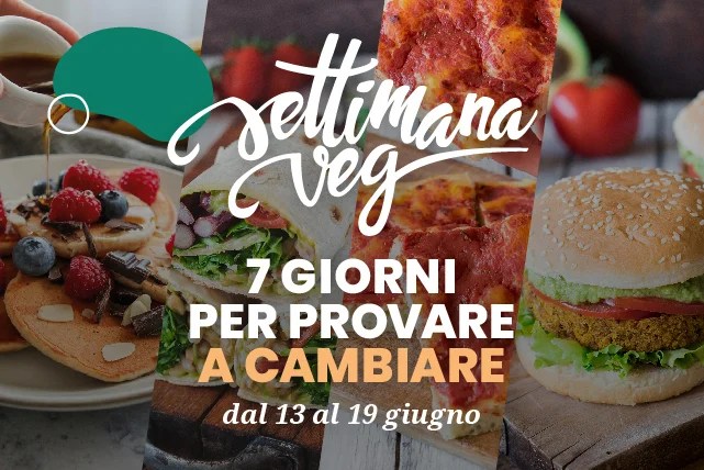 Settimana Veg – Bologna