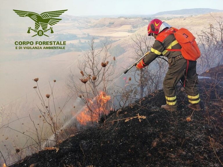 Ventiquattro incendi in Sardegna nelle ultime ventiquattro ore