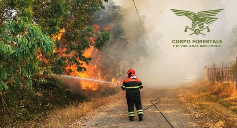 Tredici incendi in Sardegna nelle ultime ventiquattro ore