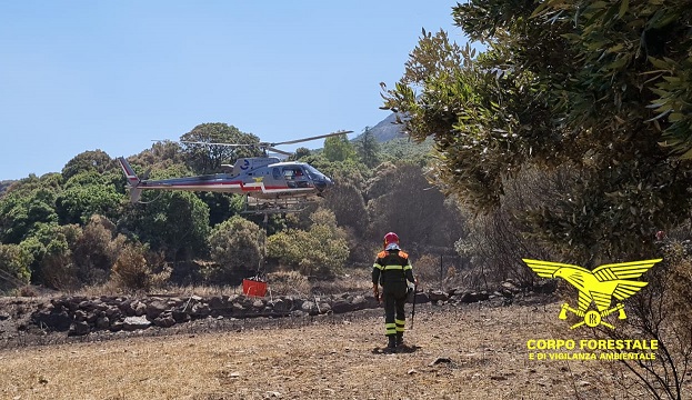 Sardegna, incendi: a Ozieri 200 ettari in fiamme