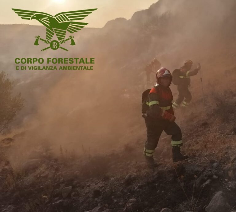 Sardegna, incendi: a Usellus in fiamme 20 ettari