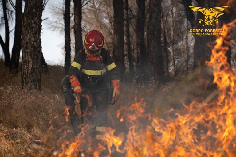 Sardegna, incendi senza soluzione di continuità: la settimana si apre con 13 roghi