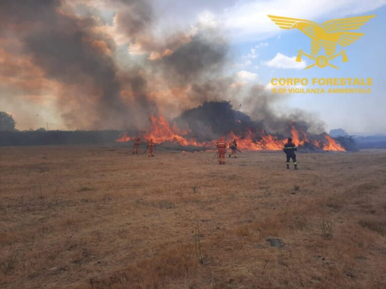 Sardegna, incendi: a Bolotana in fiamme 20 ettari