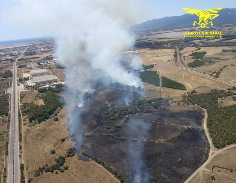 Sardegna, incendi: in fumo 10 ettari di pascolo alberato a Suni