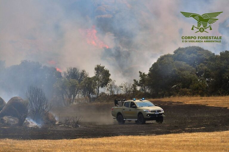 Sardegna, incendi: aree agricole inghiottite dalle fiamme a Zeddiani