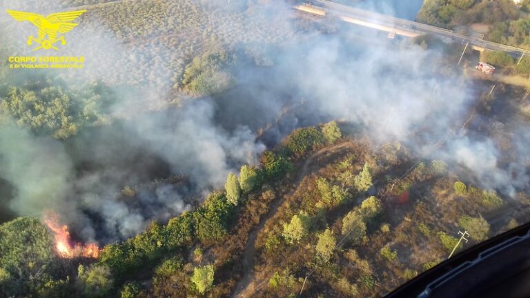 Incendi, Sardegna dilaniata dalle fiamme: oltre 50 ettari in fumo