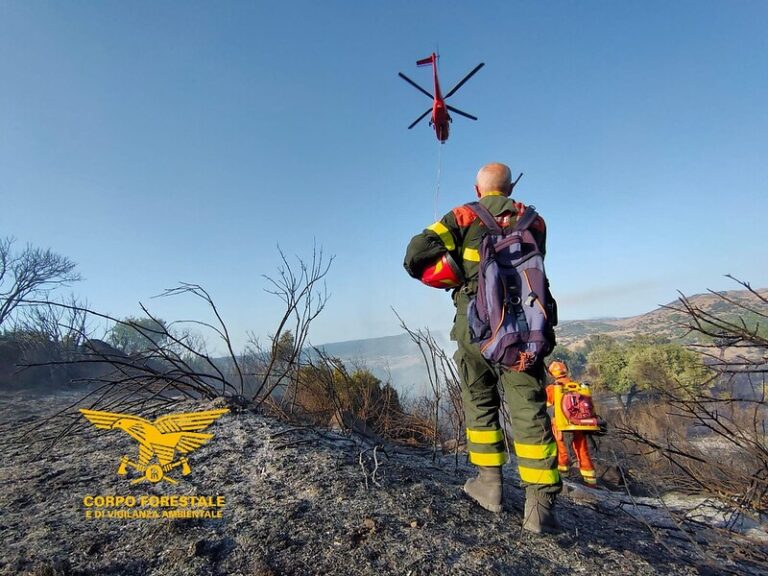 Sardegna, incendi ancora protagonisti: a San Basilio in fumo 12 ettari