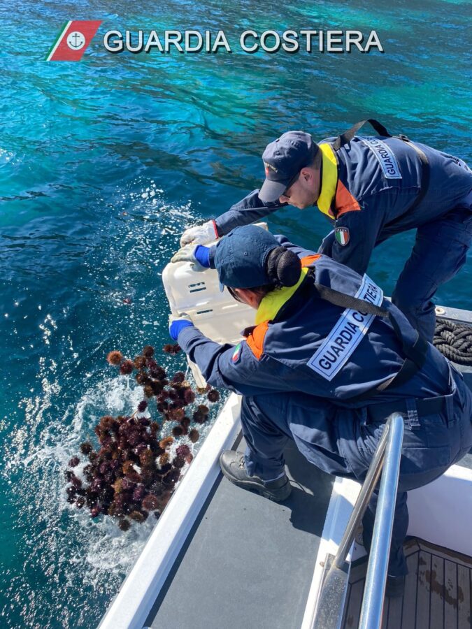Cagliari, la Guardia Costiera sequestra 160 kg di ricci pescati illecitamente