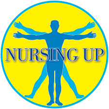 Nursing Up de Palma: encomio all’operato degli infermieri piemontesi nel sisma Turco