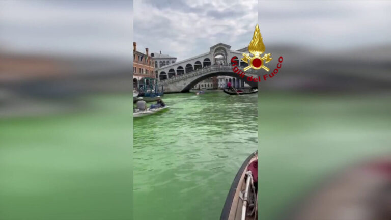 Chiazza verde nel Canal Grande di Venezia, le immagini